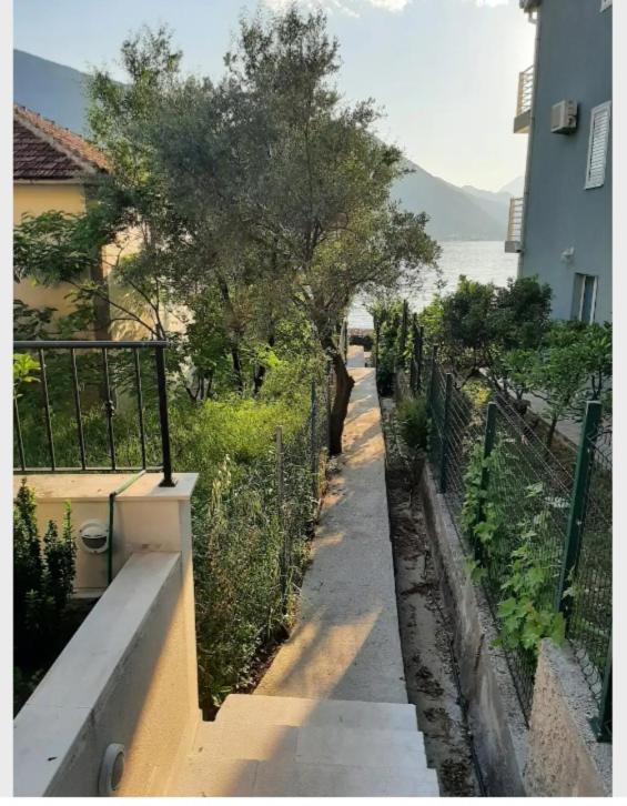 Apartments Boka Blue Dobrota Kotor Bagian luar foto